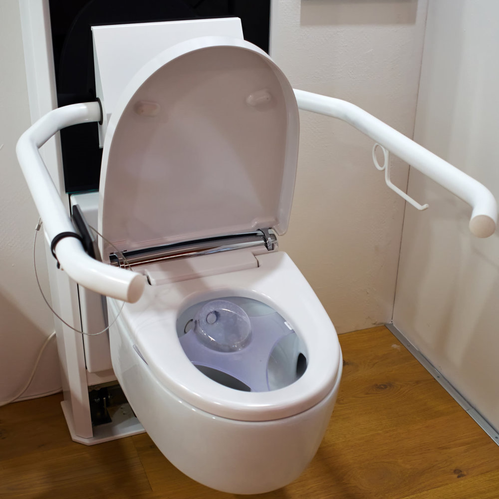 handicapped toilet