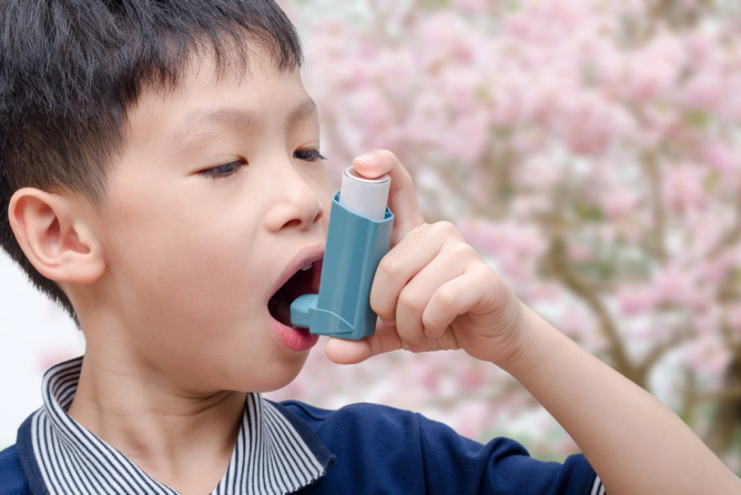 Asthma Triggers and Treatment Options
